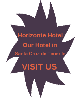 следуйте за нами на Hotel Horizonte
